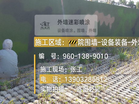 攀枝花外墙迷彩漆材料价约 45-60 元 /k