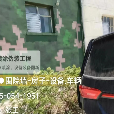 攀枝花数码迷彩漆施工